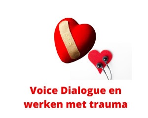 Voice Dialogue en werken met trauma - Traaktmij 2017